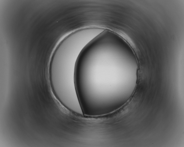 X0000088490996200705221018