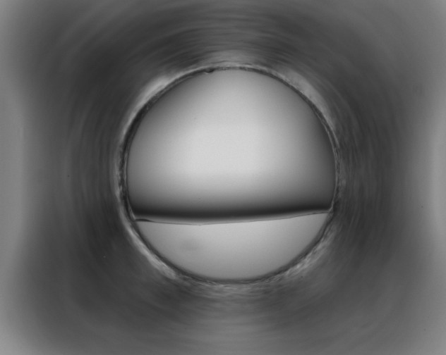 X0000088490997200705221018