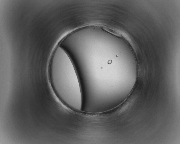 X0000088490999200705221018
