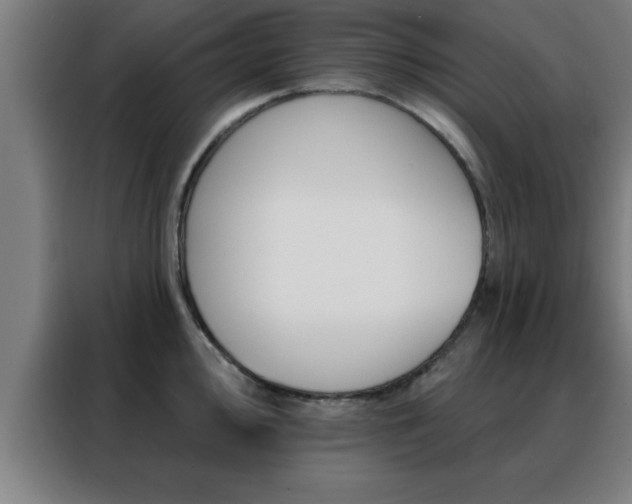 X0000088491000200705221018