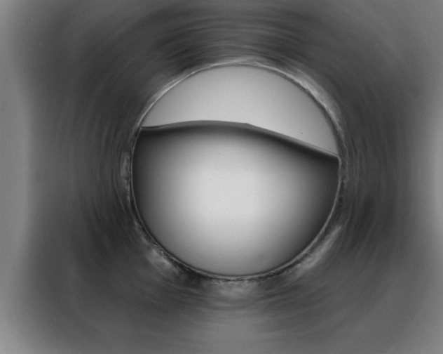 X0000088491001200705221018