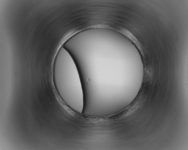 X0000088491002200705221018