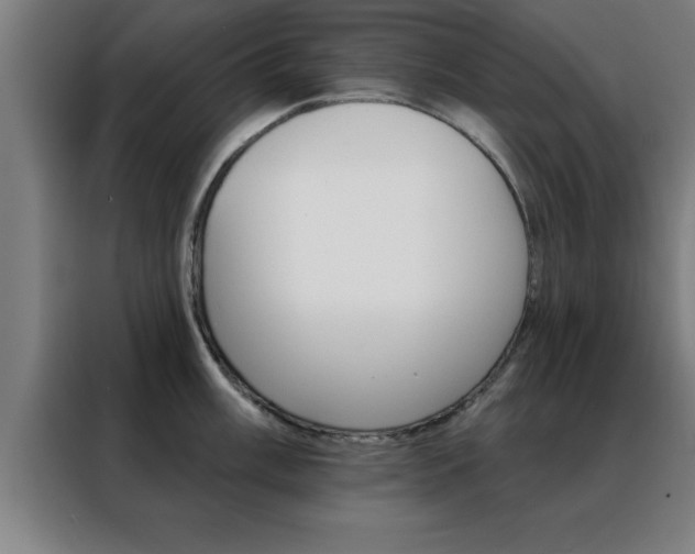 X0000088491003200705221018