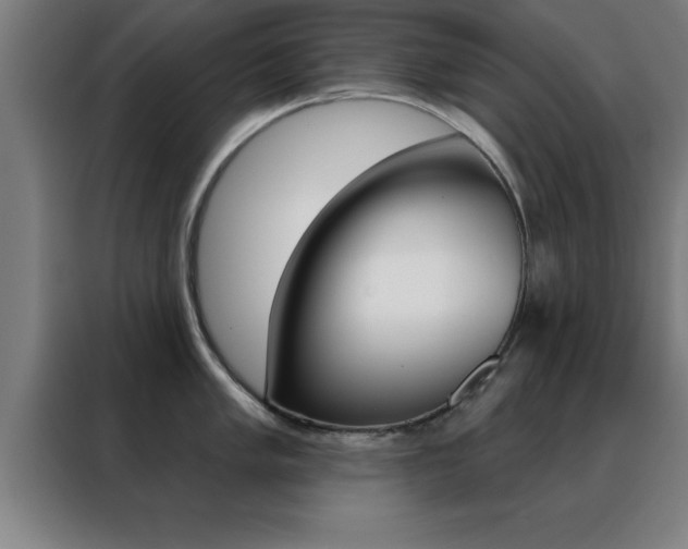 X0000088491005200705221018