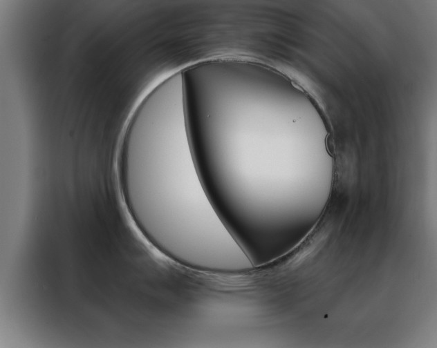 X0000088491007200705221018