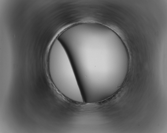 X0000088491008200705221018