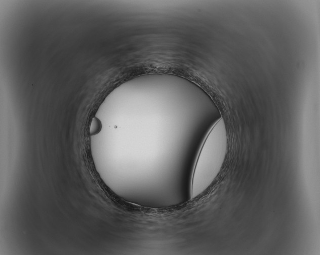 X0000088491009200705221017