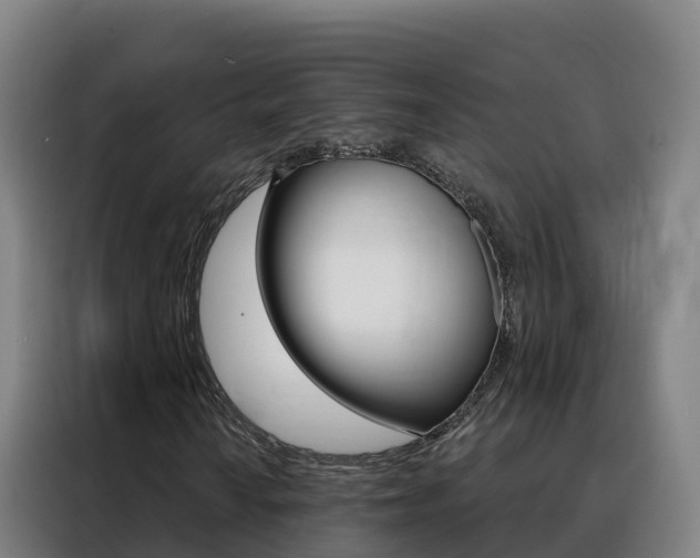 X0000088491010200705221017