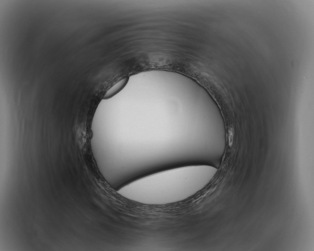 X0000088491011200705221017
