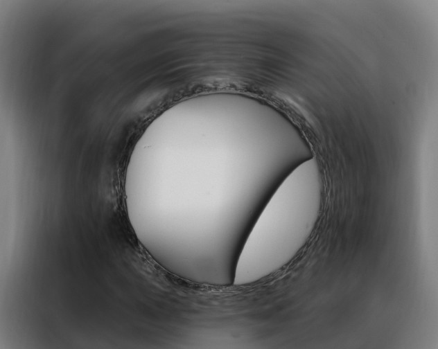 X0000088491015200705221018