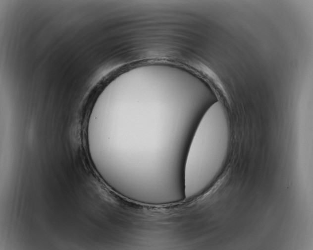 X0000088491019200705221018