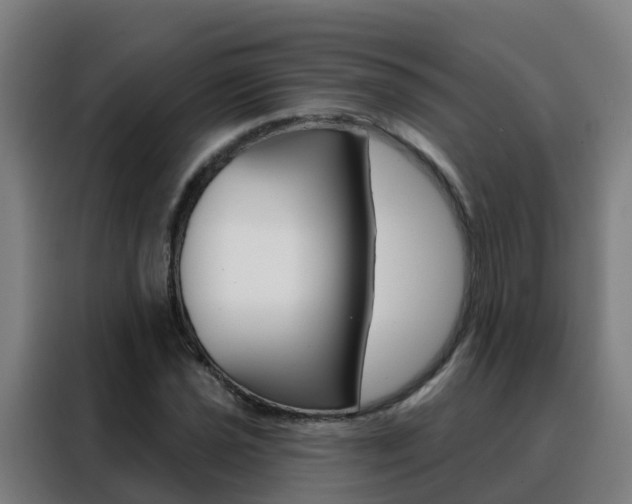 X0000088491021200705221018