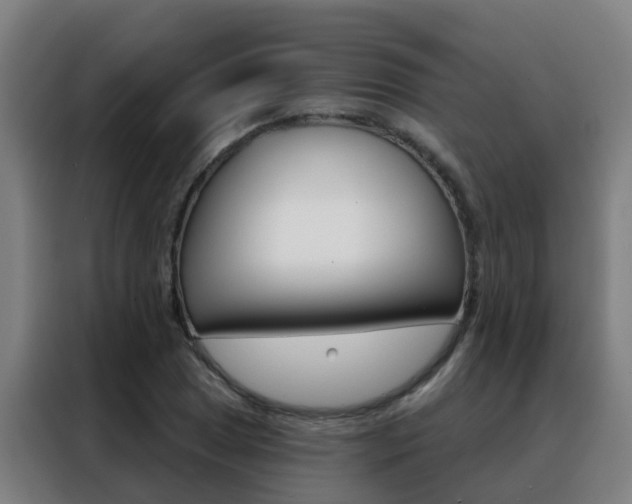 X0000088491025200705221018
