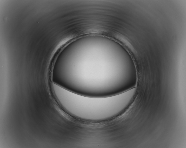 X0000088491026200705221018