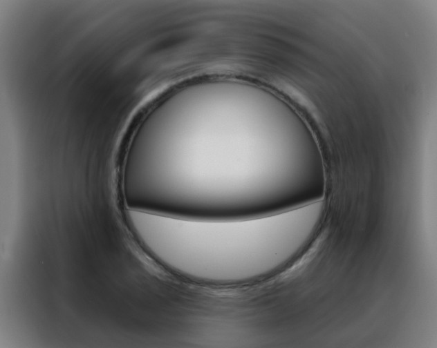 X0000088491029200705221018