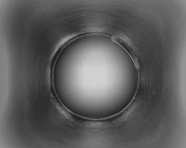 X0000088491030200705221018