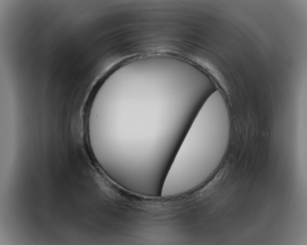 X0000088491031200705221018