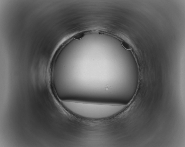 X0000088491032200705221018