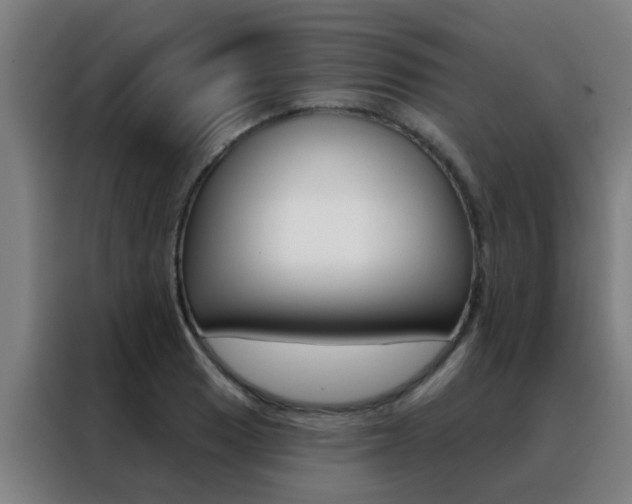 X0000088491033200705221018