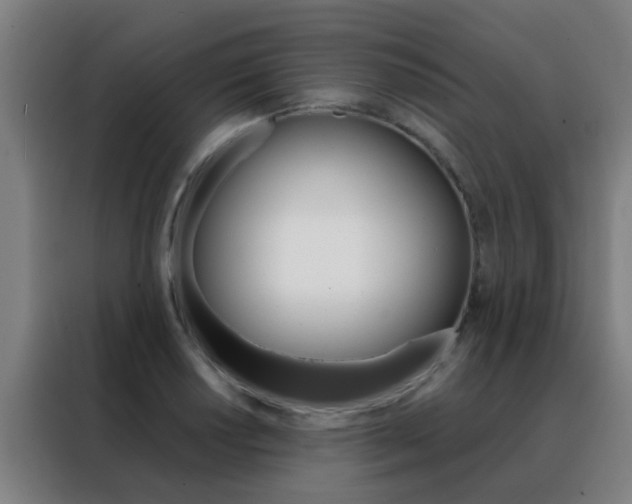 X0000088491034200705221018