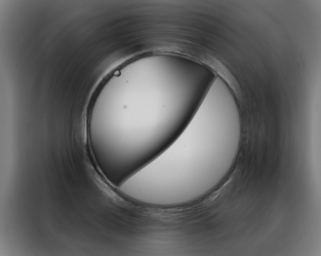 X0000088491036200705221018