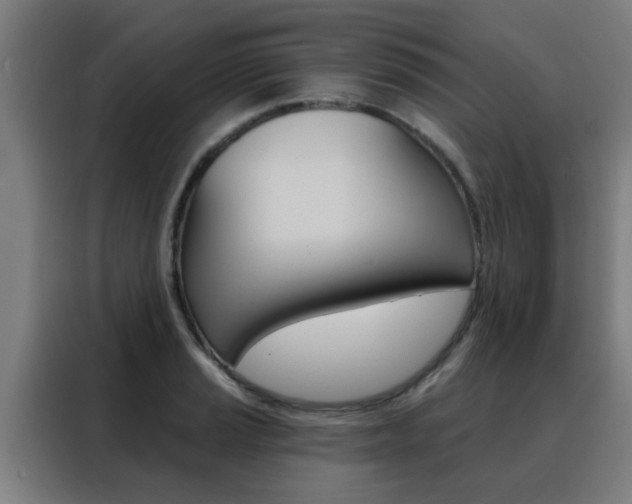 X0000088491037200705221018