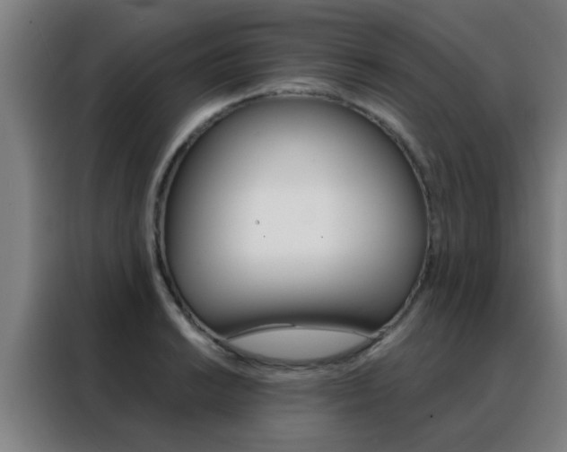 X0000088491038200705221018