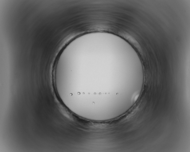 X0000088491039200705221018
