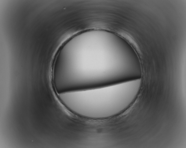X0000088491040200705221018