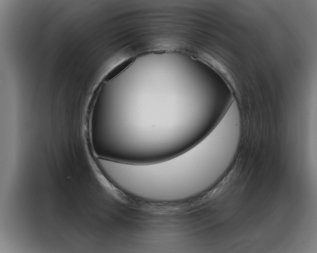 X0000088491042200705221018