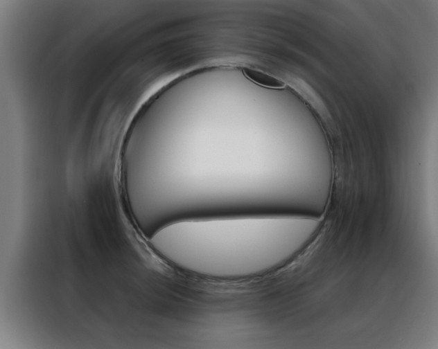X0000088491044200705221018