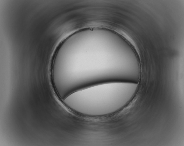 X0000088491045200705221018