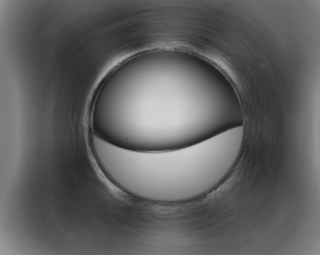 X0000088491046200705221018