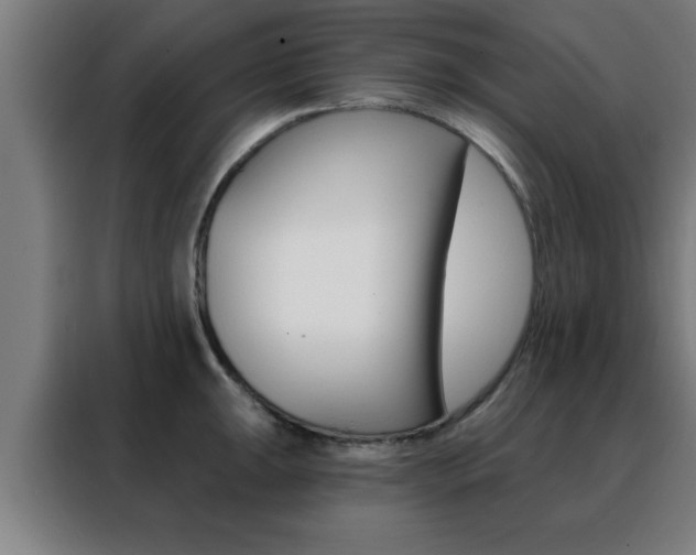 X0000088491047200705221018