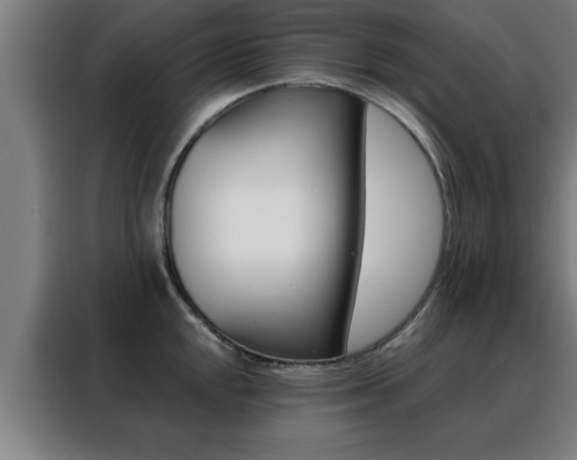 X0000088491048200705221018