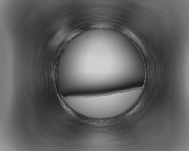 X0000088491049200705221018