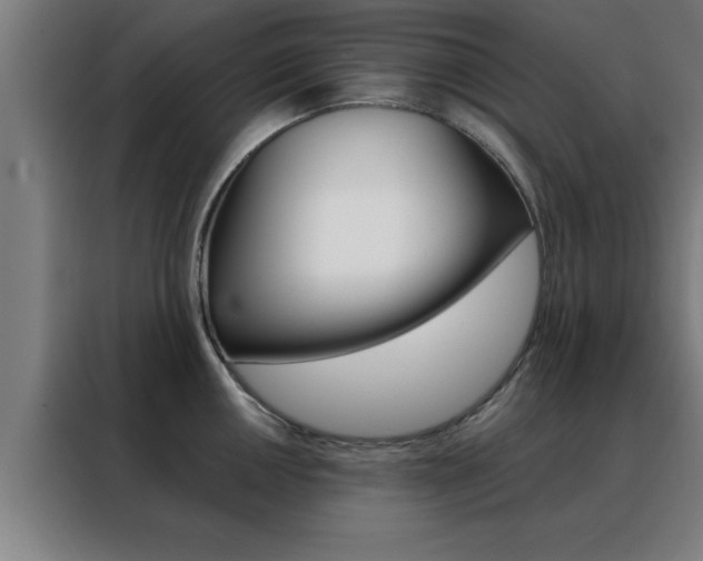 X0000088491050200705221018