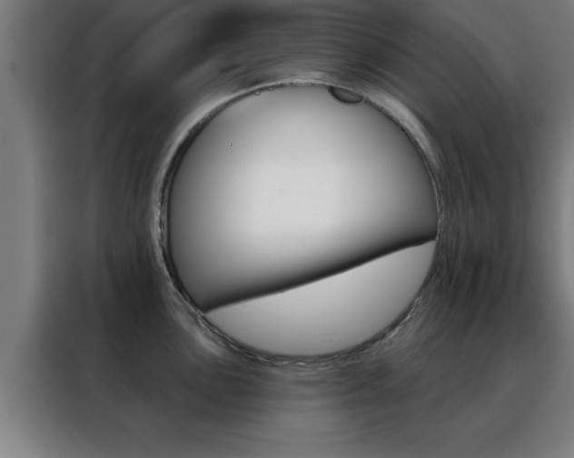 X0000088491051200705221018