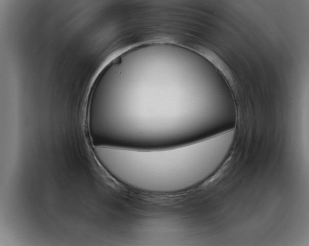 X0000088491052200705221018