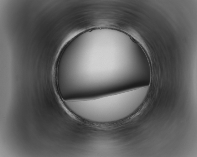 X0000088491053200705221018
