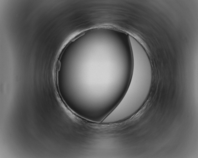 X0000088491054200705221018