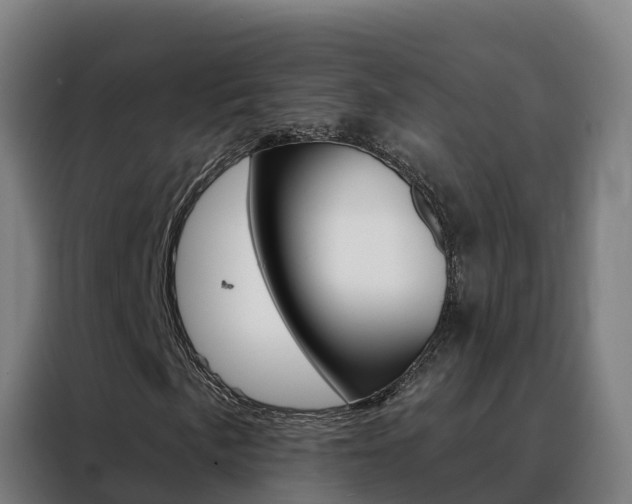 X0000088491057200705221017