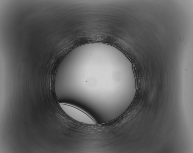 X0000088491058200705221017