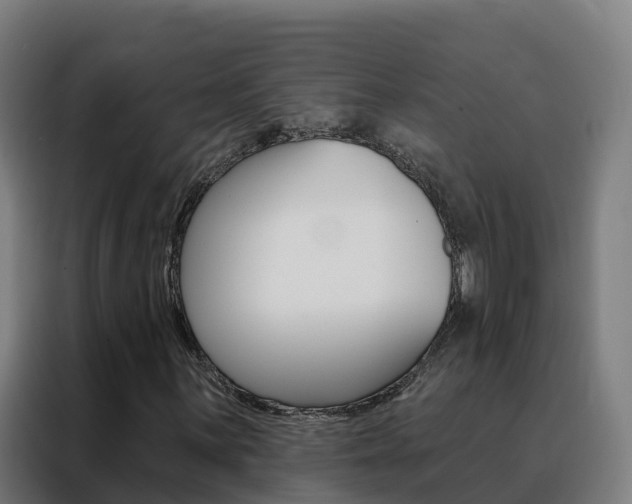 X0000088491059200705221017
