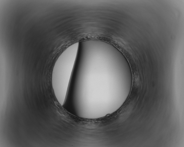 X0000088491060200705221017