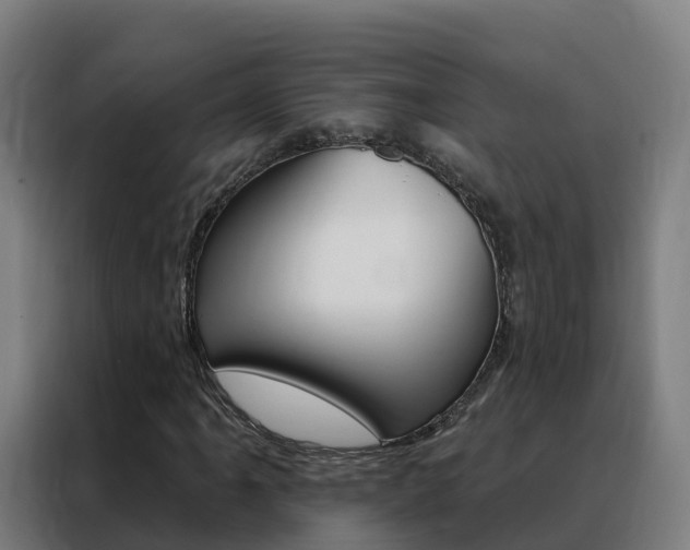 X0000088491061200705221017