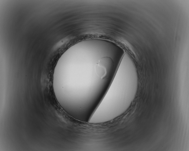 X0000088491064200705221017
