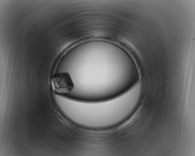 X0000088491065200705221017