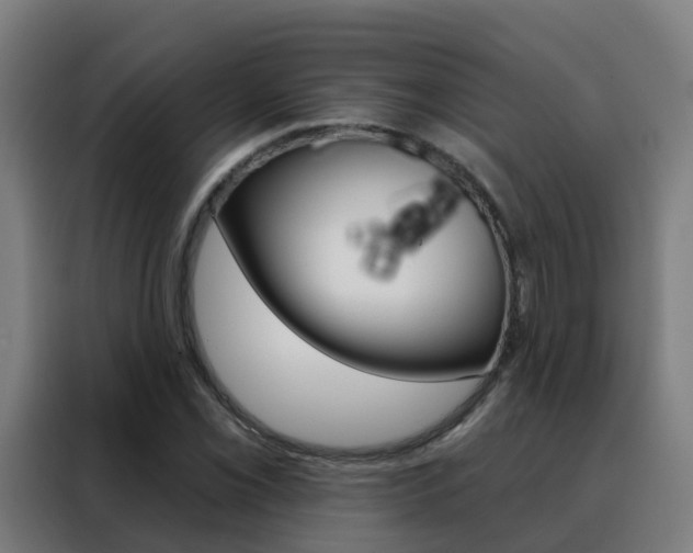 X0000088491069200705221017