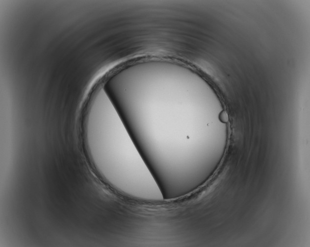 X0000088491070200705221017